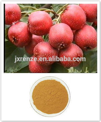 Natural Organic Hawthorn Berry Extract