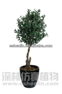 mini artificial money tree/plants