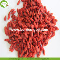 Approvisionnement d&#39;usine Fruits Super Food Goji Berry