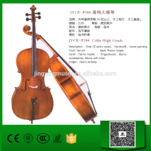 JYCE-P300 High Grade Cello