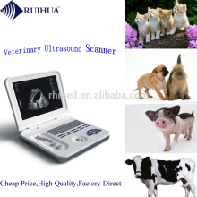Latest laptop portable vet/animal ultrasound/Veterinary ultrasound scanner price