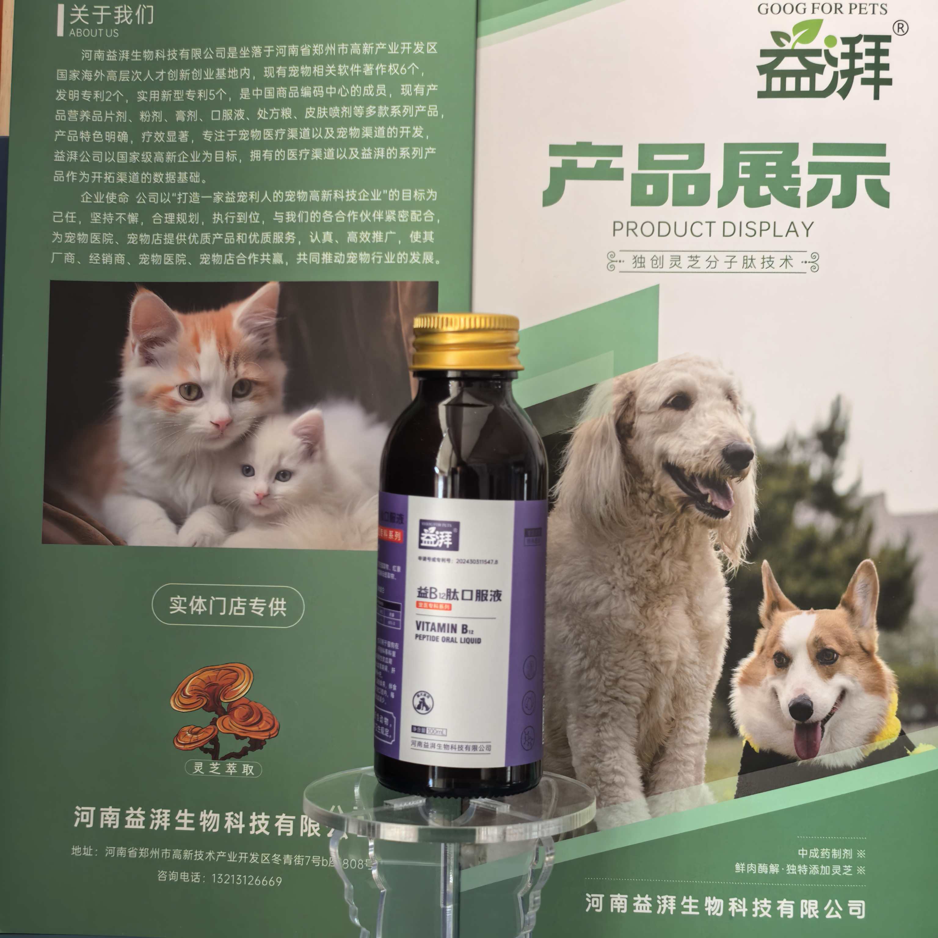 Cogumelo Reishi com Vitamina B12 para Animais de Estimação12 Reishi Mushroom with Vitamin B12 for Pets12