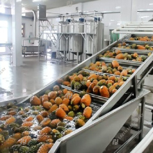 Bottled Juice Processing Plant: Orange Juice, Flavored Water, and Mango Juicer Machines