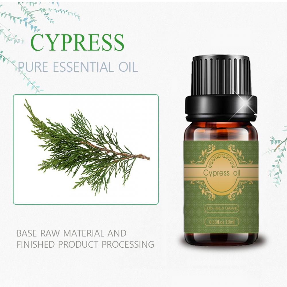 السعر بالجملة Cypress Essental Oil 100 ٪ العضوية النقية