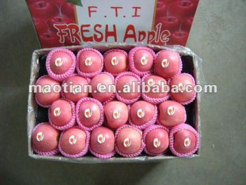 Apple fruit fresh