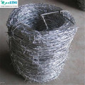 Hot-dipped galvanized barbed wire