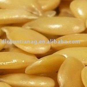 golden flax seed/linseed organic