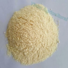 Top Quality Ginger Extract Powder for Export