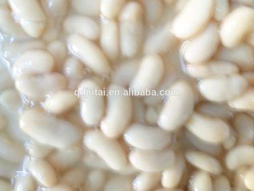 canned types of kidney beans /fresh white kidney bean in brine