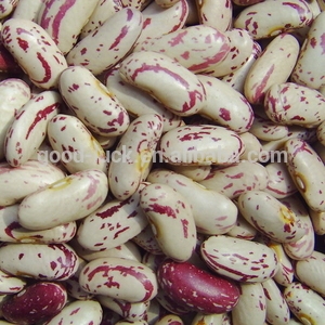 New Crop Red Speckled Sugar Beans For Sale