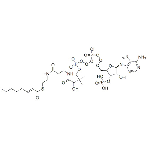 S- [2- [3 - [4 - [[(2R, 3S, 4R, 5R) -5- (6-aminopurin-9-yl) -4-hydroxy-3-phosphonooxyoxolan-2-yl] méthoxy -hydroxyphosphoryl] oxyhydroxyphosphoryl] oxy-2-hydroxy-3,3-diméthylbutanoyl] amino] propanoylamino] éthyle] (E) -oct-2-énéthioate CAS 10018-94-7