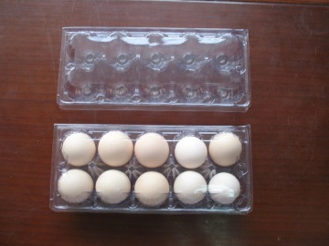 China Supply Hatching Chicken Eggs Plastic Egg Tray