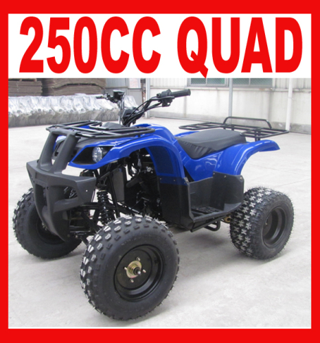 Mới nóng 250cc ATV với giá rẻ