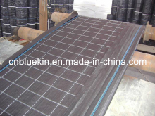 Wire Backed Silt Fence (WSF)