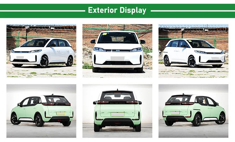 2022 New Smart Vehicle Auto Byd on Sale