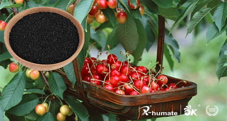 X-Humate Water Soluble Humic Acid