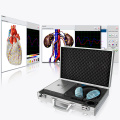 Bioresonance diagnosis and therapy hunter 4025 nls