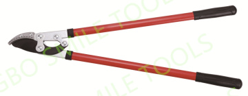 Labor-saving horticultural fruit branch shears holly fence scissors garden tools