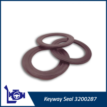 3200287 Cummins Keyway Seal