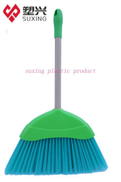 Green shining bristle broom