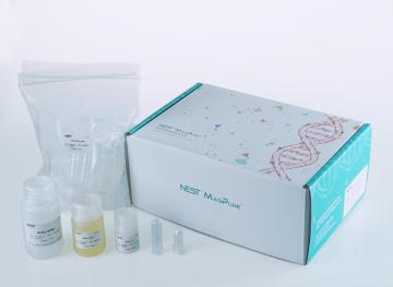DNA Recovering Gel Extraction Kit