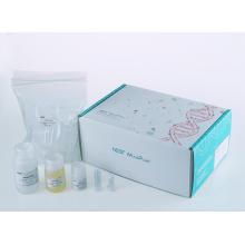 Kit de extração em gel de recuperação de DNA