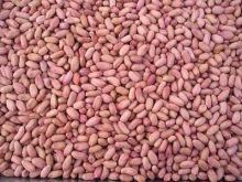 2014 New Crop Red Skin Peanut Kernel