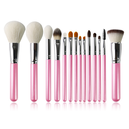 2021 Venta caliente 13pcs Conjunto de cepillos de maquillaje de alta calidad para la belleza