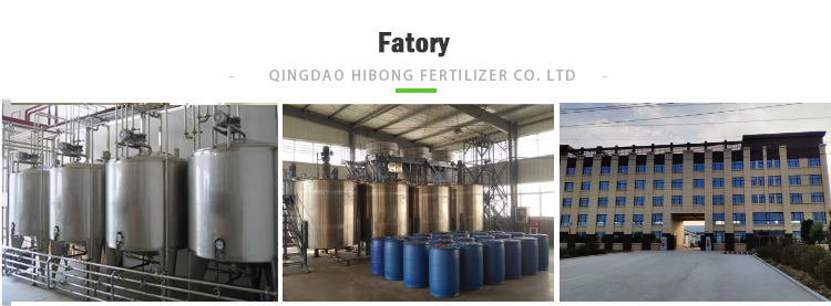 fertilizers like npk Promote root growth chitosan liquid rooting for sale