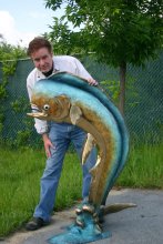 metal casting bronze dorado fish fountain for outdoor garden