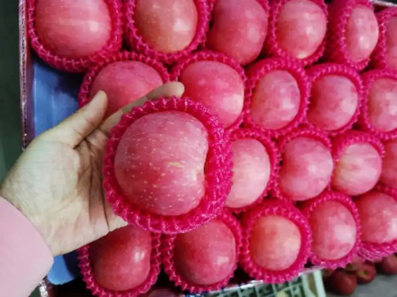Factory Price Fresh Red FUJI Apple From Shandong