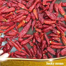 stemless dried red chilli/chili