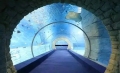 Tunnel dell&#39;acquario acrilico in acrilico al 100% in materia prima