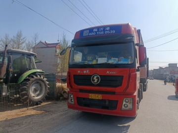 Container Loading Inspection Reliable Third Party Services