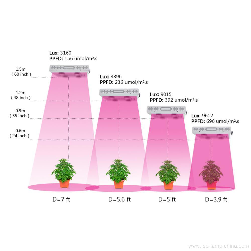 White panel 600w led grow light