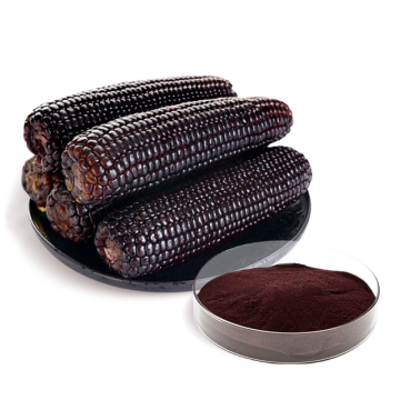 Pure natural Purple Corn Extract Powder Anthocyanin