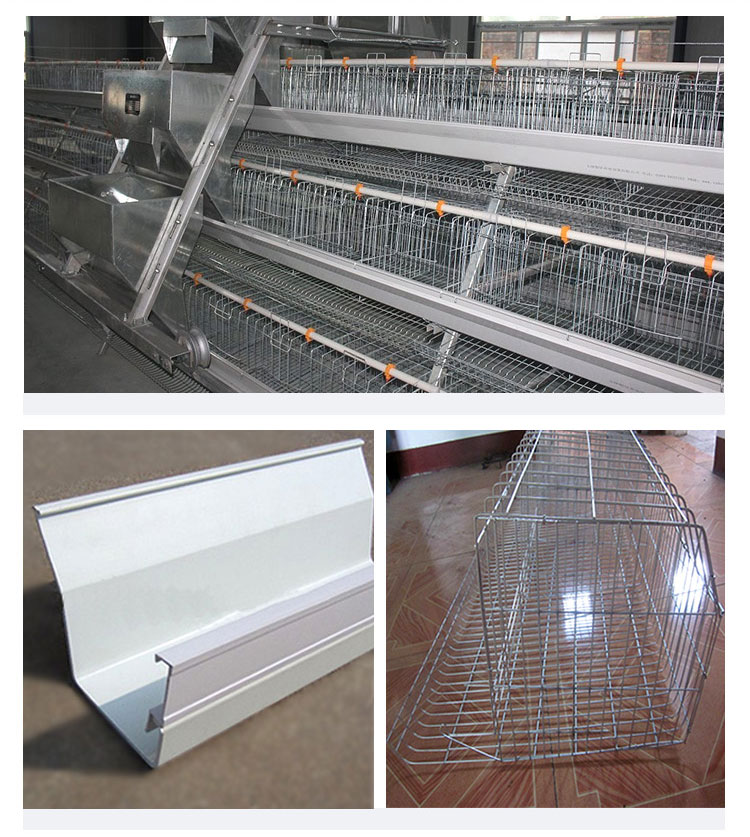 A type broiler cage detail