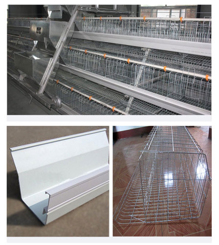 Automatic A Type Broiler Cage