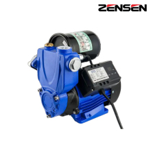 Youth version Double outlet intelligent self-priming pump