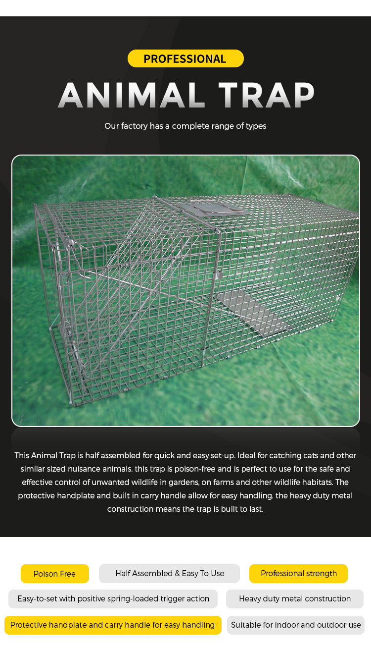 Chipmunk Cage Traps