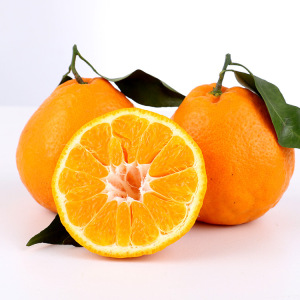 Orange fruit vert frais comme oranges d&#39;exportation