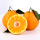 Orange fruit vert frais comme oranges d&#39;exportation