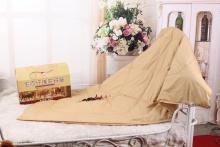 Camel wool warm quilt