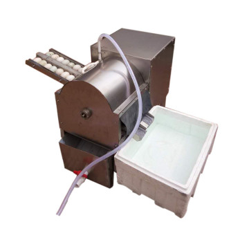 Duck Egg and Chicken Egg Washer for International Markets