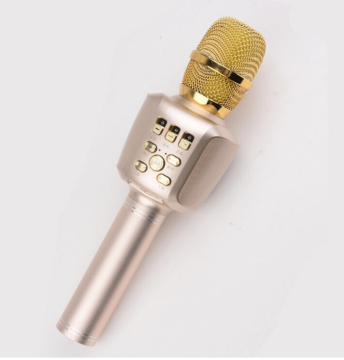 Home KTV portable microphone