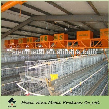 galvanized poultry layer cages