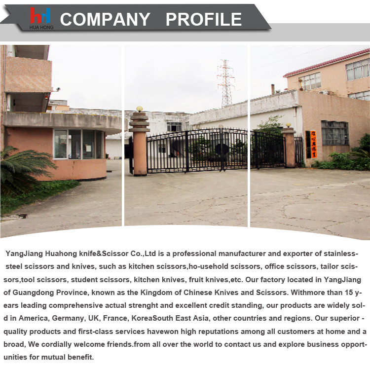 OEM Customized Logo Packing Multi Size Office Series Scissors Stainless Steel Black Transparent Embroidery Scissors