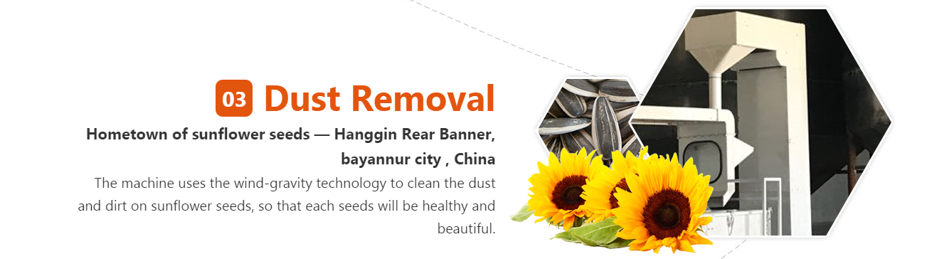 Inner Mongolia Sunflower Seeds