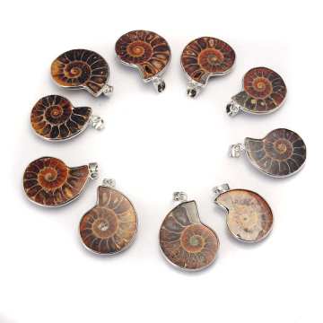 Handmade Adjustable Ammonite, Shell Jewelry - Vintage Bohemian Style for Women, Men, and Girls
