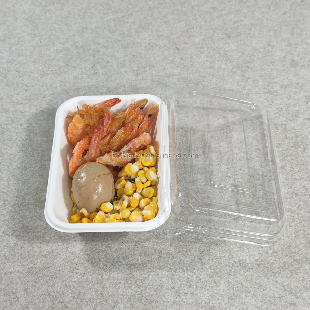 Biodegradable Sugar Cane Food Tray